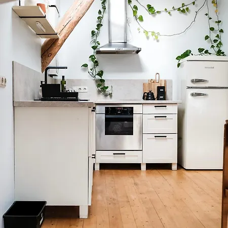 White Loft In Center With 2 King Size Beds Appartement Riga