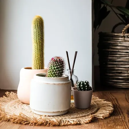 White Loft In Center With 2 King Size Beds Riga