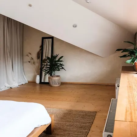 White Loft In Center With 2 King Size Beds * Riga