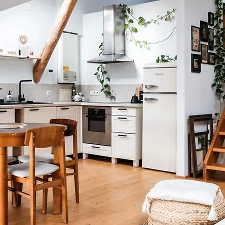 White Loft In Center With 2 King Size Beds * Riga