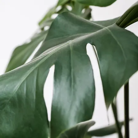 Appartement White Loft In Center With 2 King Size Beds *