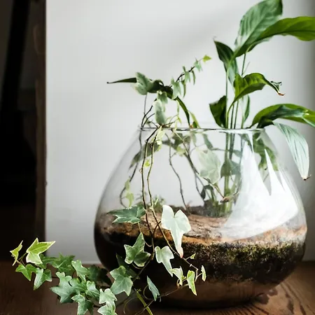 White Loft In Center With 2 King Size Beds Appartement