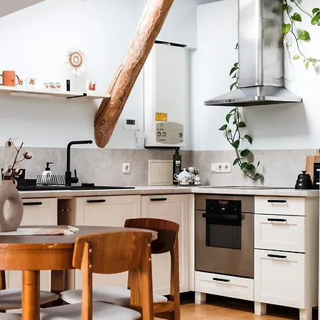 White Loft In Center With 2 King Size Beds Apartment *