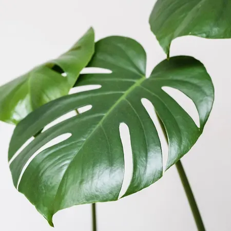 Lejlighed White Loft In Center With 2 King Size Beds *