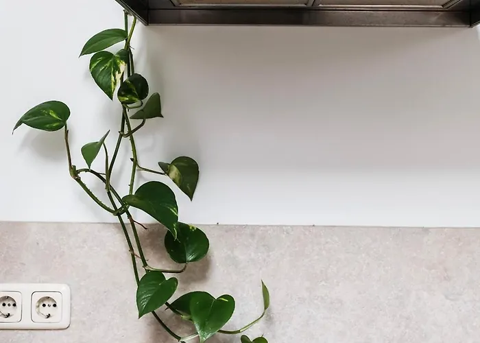 Dzīvoklis White Loft In Center With 2 King Size Beds *