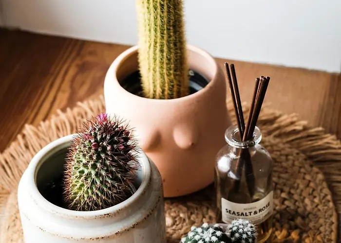 Apartment White Loft In Center With 2 King Size Beds