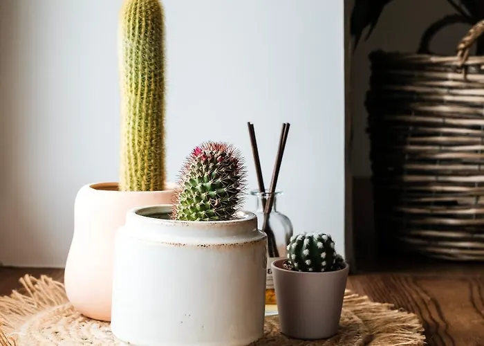 White Loft In Center With 2 King Size Beds Riga