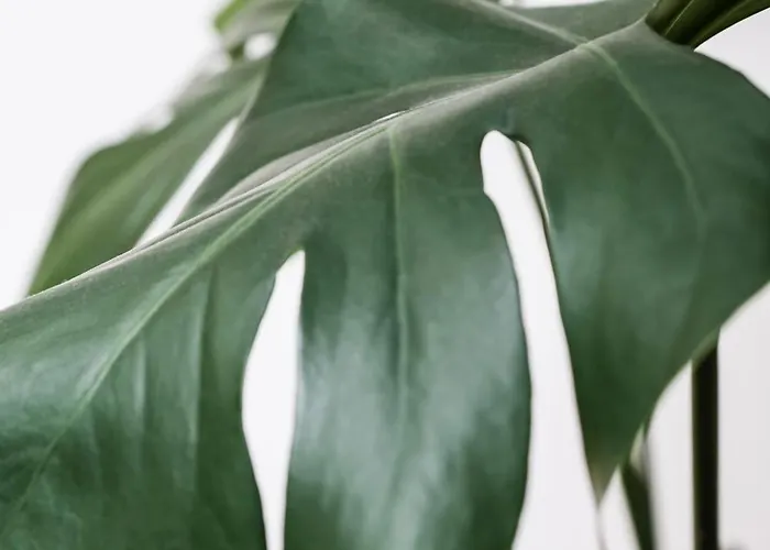 Dzīvoklis White Loft In Center With 2 King Size Beds *