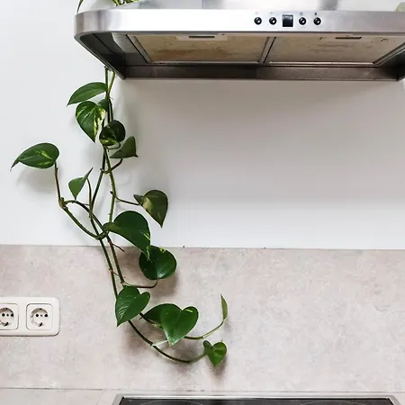 公寓 White Loft In Center With 2 King Size Beds *