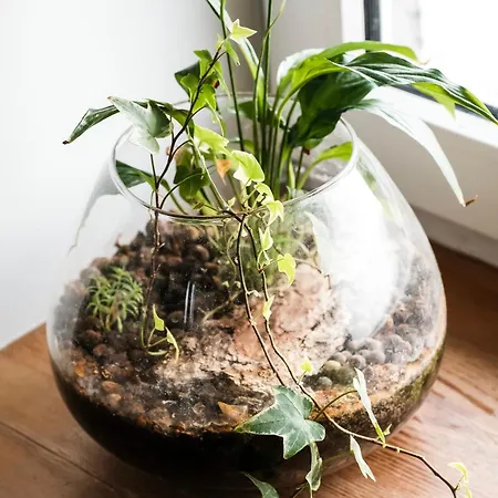 White Loft In Center With 2 King Size Beds