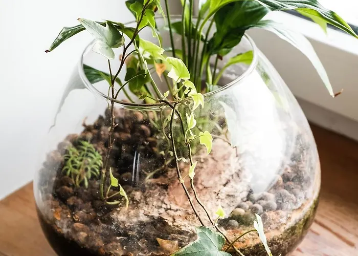 White Loft In Center With 2 King Size Beds