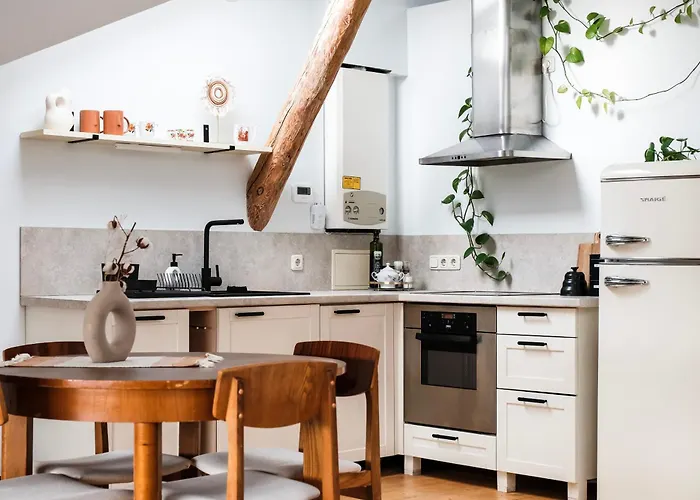 White Loft In Center With 2 King Size Beds Apartament *